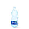 FUENTE PRIMAVERA NATURAL 1X6X100CL(T018)