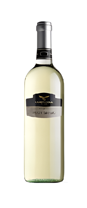 PINOT GRIGIO VENETO CAMPAGNOLA 75cl [B237]