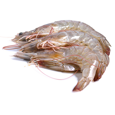 Langoustines Raw 30/40 2KG (SANLA01)