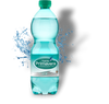 FUENTE PRIMAVERA c/GAS 24x50cl [T011]