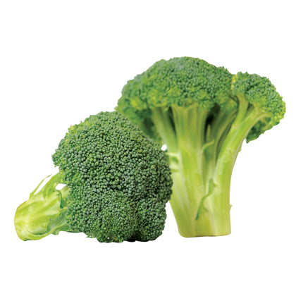 Broccoli 40/60 2.5kg [BFVBR01]