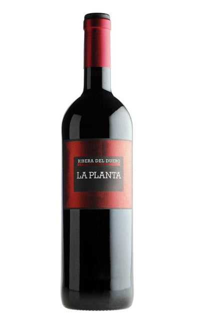 LA PLANTA 75cl [D206]